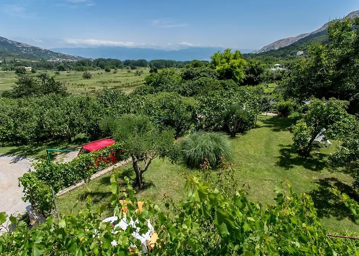 Apartman Maledi
